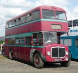 AEC Regent V