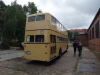 Автобус Büssing&nbsp;D2U